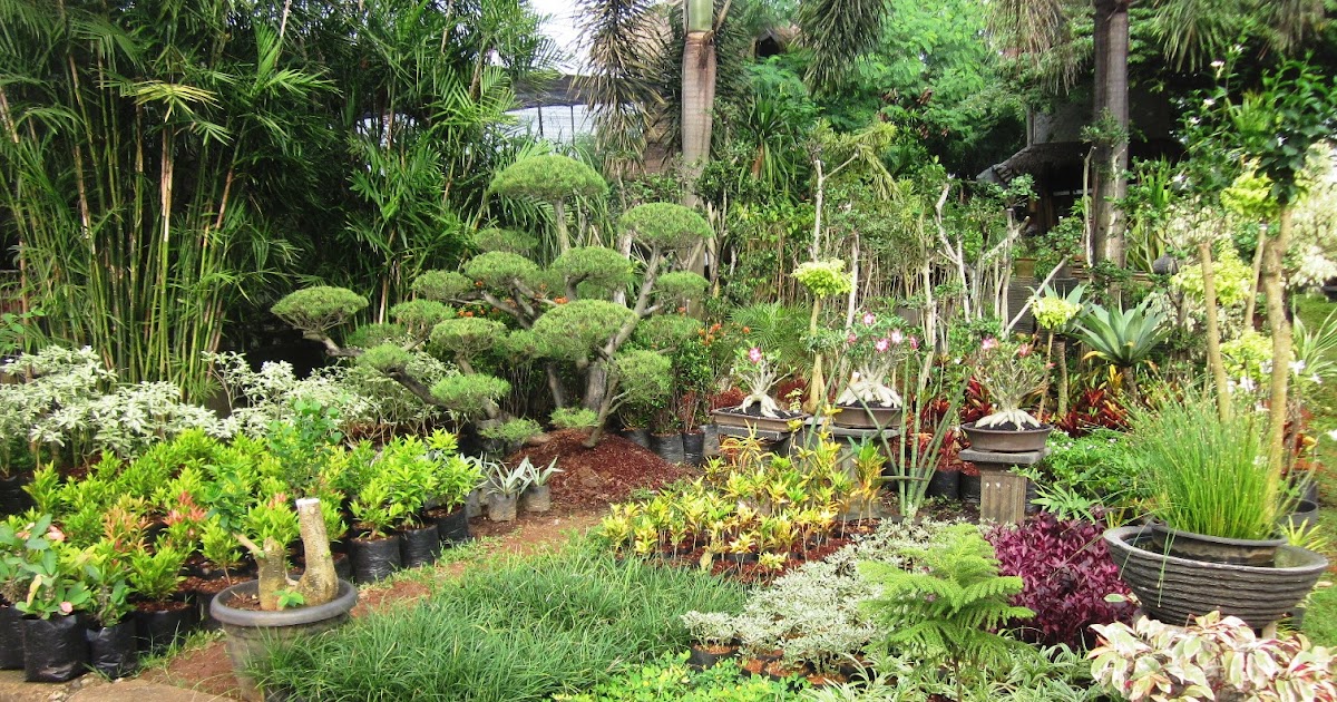 Roempoen Bamboe Garden: Pembukaan Kios Ke Dua Roempoen Bamboe