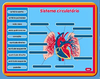 http://www.junior.te.pt/servlets/Bairro?P=Jogos&ID=124