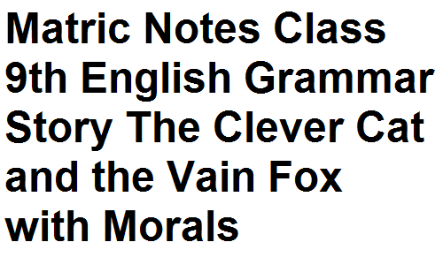 Matric Notes Class 9th English Grammar Story The Clever Cat and the Vain Fox with Morals