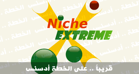 Adsense plan Niche extreme new series
