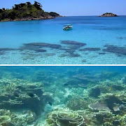 Holidays in malaysia, travel malaysia, malaysia redang island (redang island malaysia)