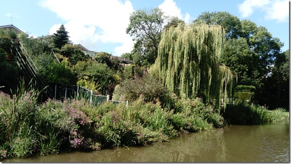 2 above canal at brindley bank rugeley