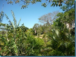P1040791