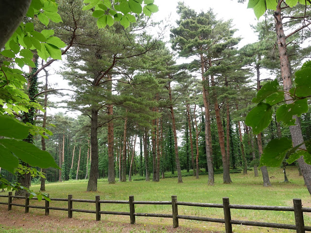 鳥取県西伯郡伯耆町丸山　ふれあいの森キャンプ場