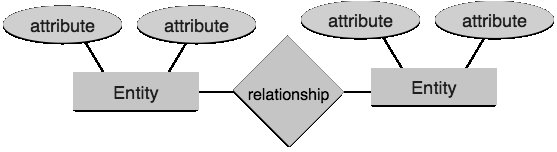 What-is-Database-dbms