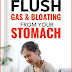 How To Flush Gas And Bloating From Your Stomach Using Just 4 Ingredients