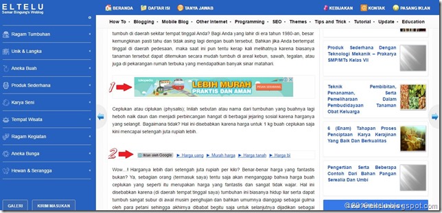 2 (dua) Unit Iklan yang Dipasang di Tengah Postingan Blogger atau Blogspot