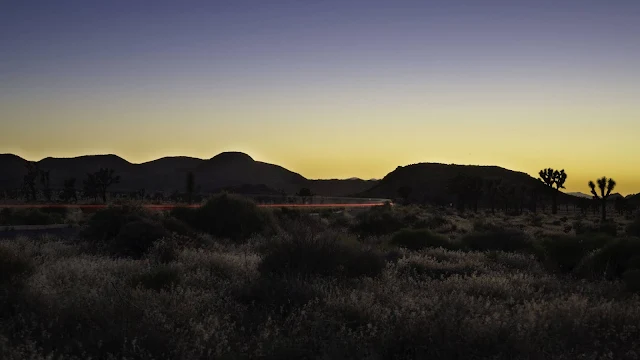 Evening, Sunset, Desert, Hills, Bushes