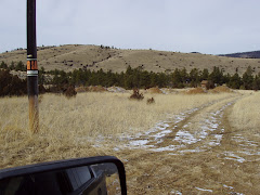 20+ acres, really really cheap....