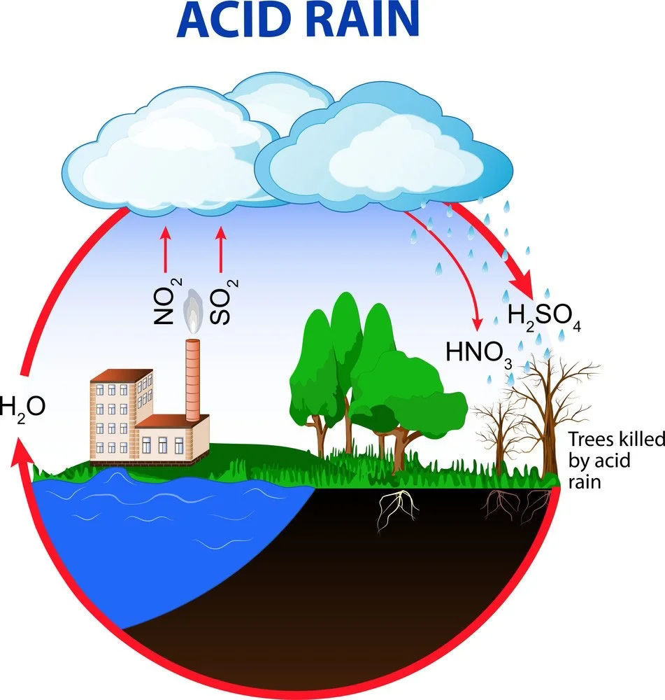 Acid rain | ph of acid rain | Effects of acid rain | Preventive measures of acid rain