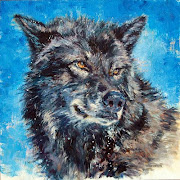 Black Wolf Study, 12x12, oil on Gessobord panel