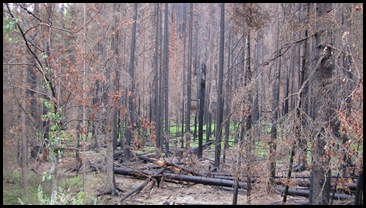 July 2010 037