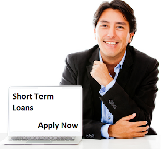 http://www.shorttermloans6months.ca/application.html