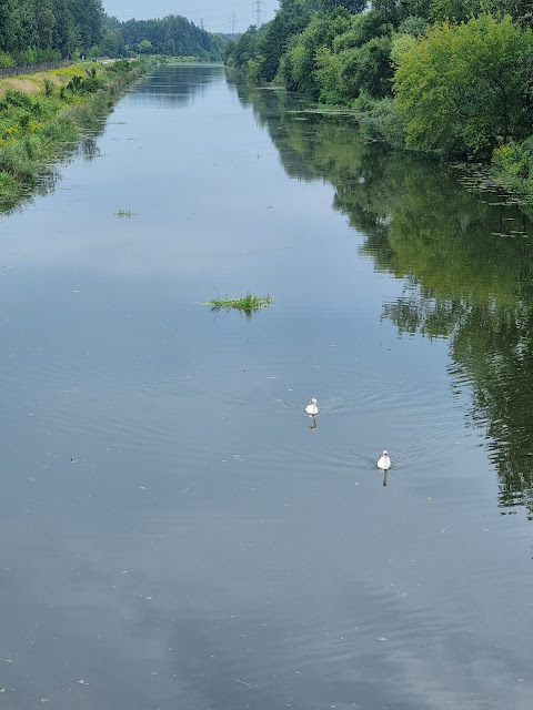 Rowerem nad Jezioro Zegrzyńskie