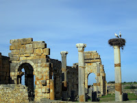 volubilis