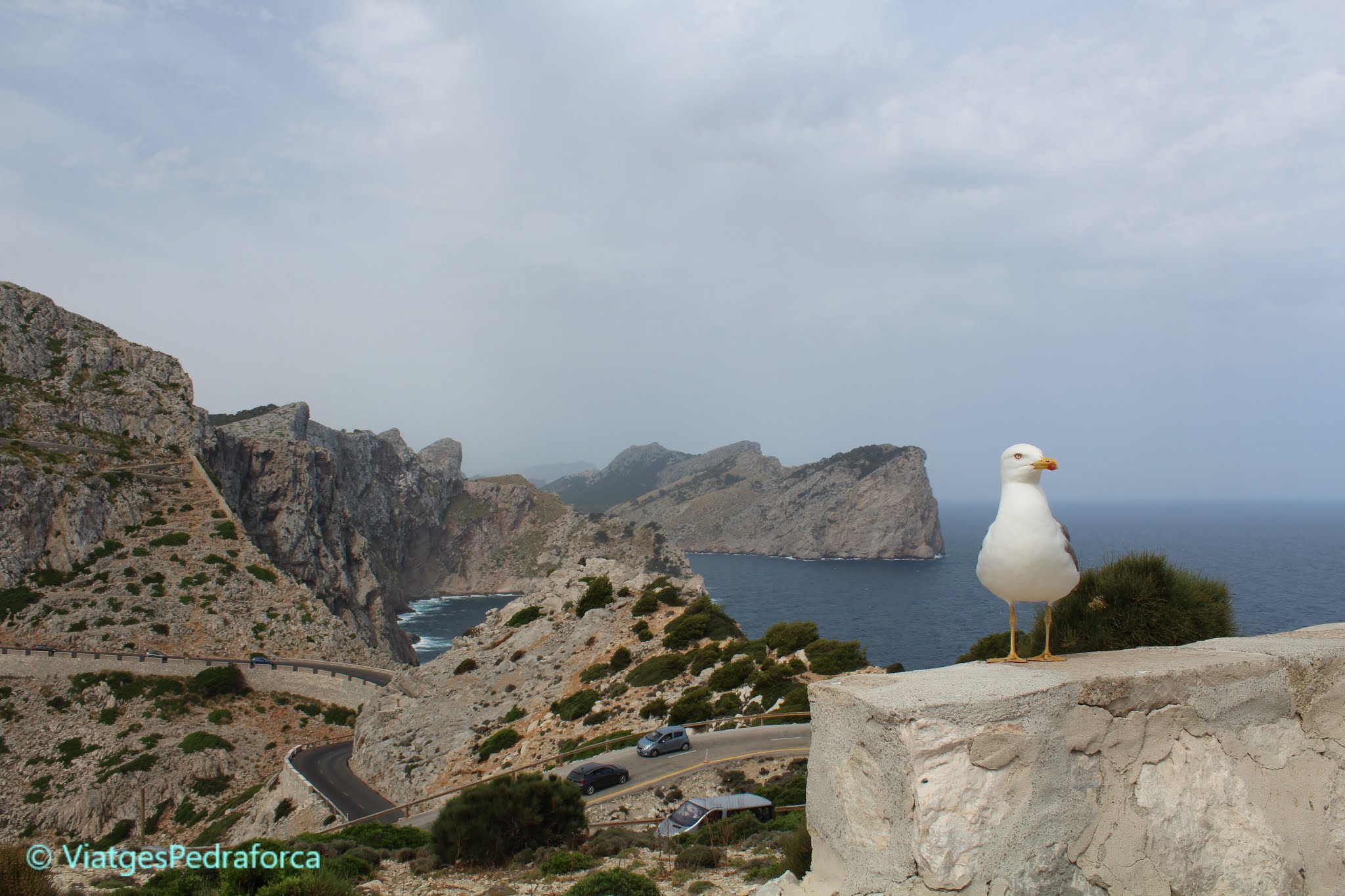 Illes Balear, Països Catalans, Patrimoni de la Humanitat