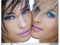 Download FLVPlayer4Free 2020 Offline Installer