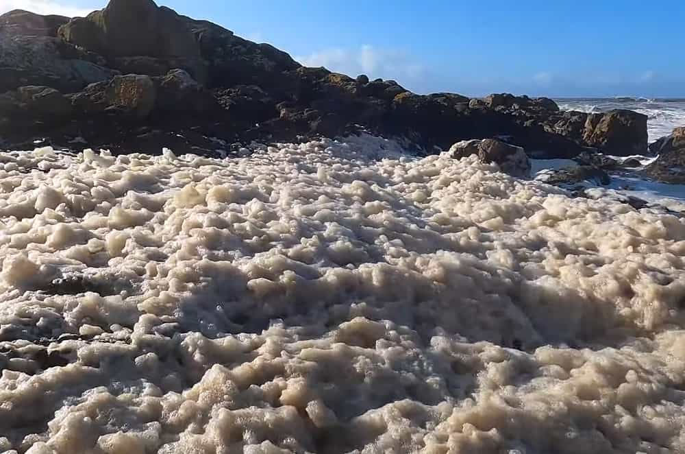 What Is Sea Foam And Ice Tsunami?