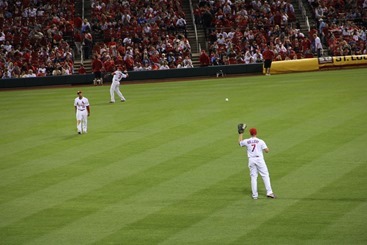 IMG_8818_thumb[1]