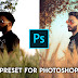 Teal & Brown Xmp Preset For Photoshop 