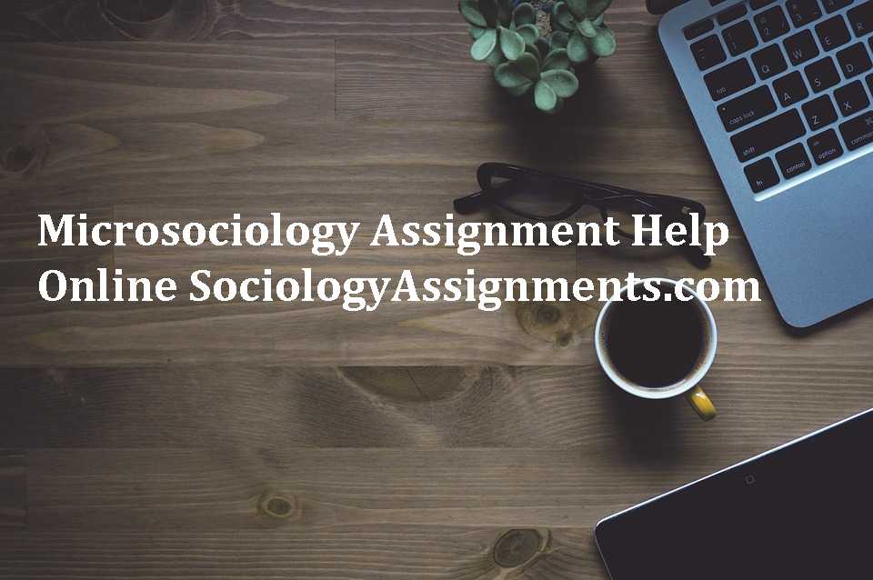 Public Sociology Assignment Help Online