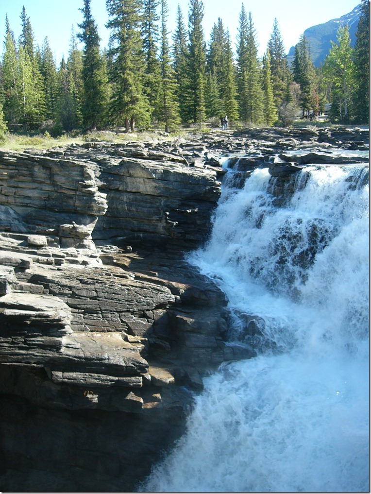 P1150218