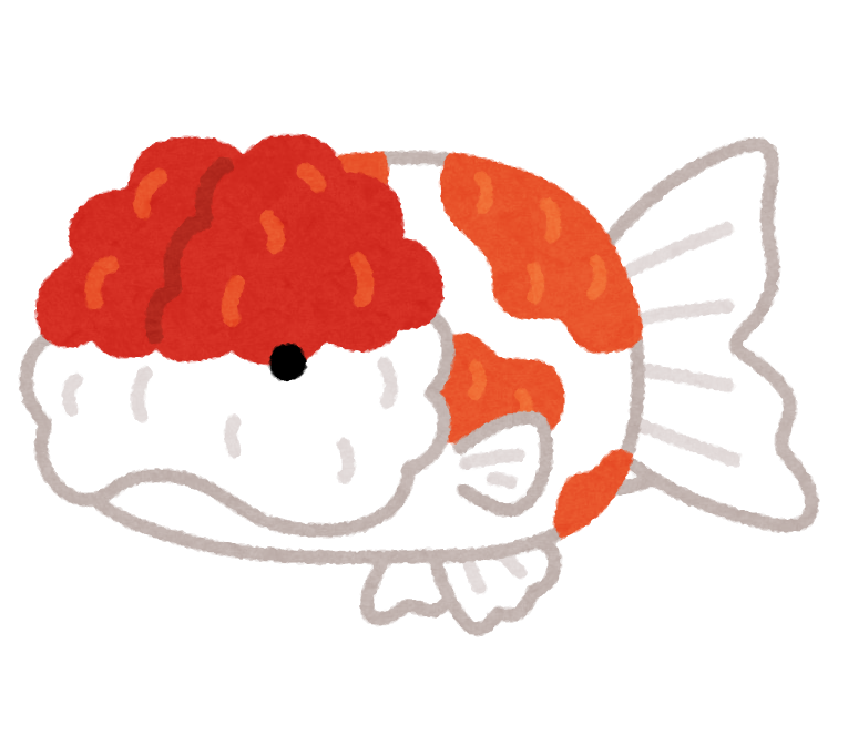 桜錦のイラスト 金魚 かわいいフリー素材集 いらすとや