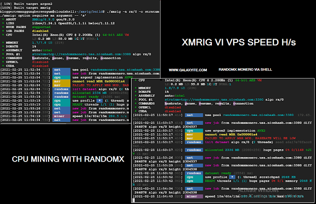 Script mining xmrig di VPS Linux