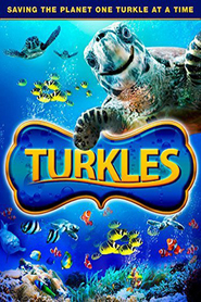 Se Film Turkles 2011 Streame Online Gratis Norske