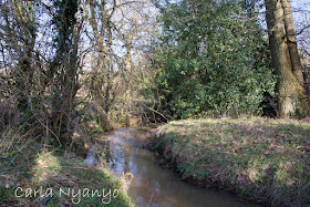 river sherbourne