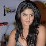 South Indian Beauty Deeksha Seth's Awesome Boobs Show At a Press Conference