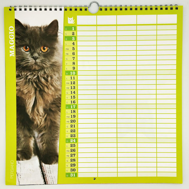 calendario gatti