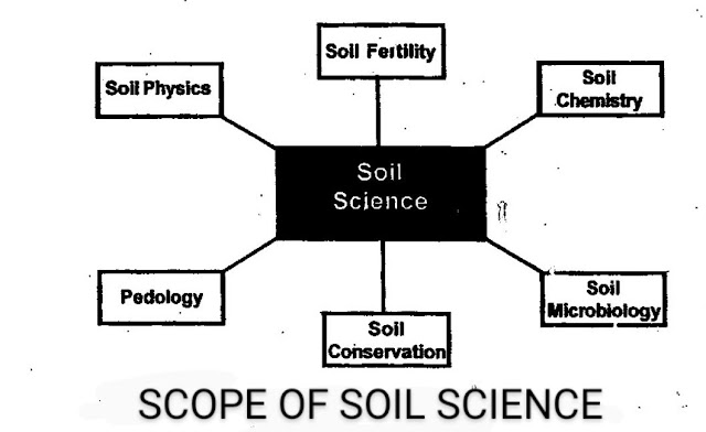 What Is The SCOPE OF SOIL SCIENCE
