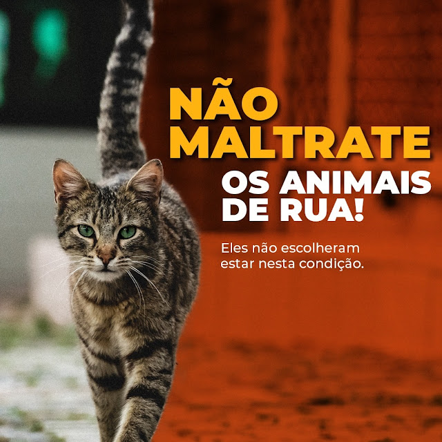 Não maltrate os animais de rua!