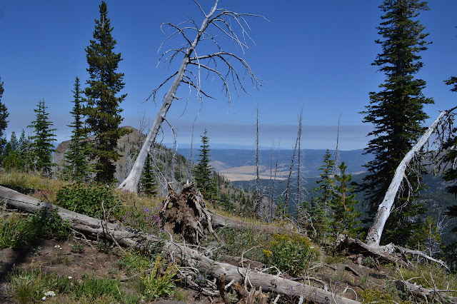 smoky eastern view