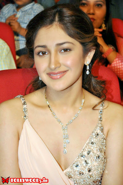 Sayesha Saigal Biography and Wiki and Biodata