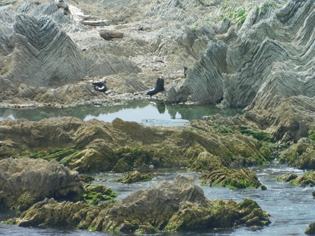 DSCN3312