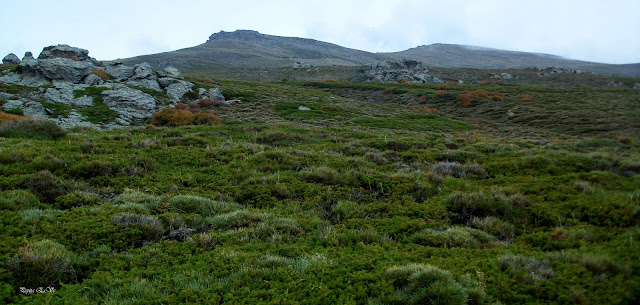 Miraor Bajo, Sulayr