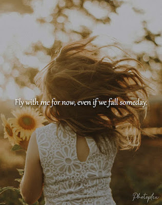 Love Quotes - Fly with me for now even if we fall someday. Every time I see you I fall in love all over again