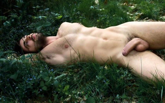 Splendor In The Grass