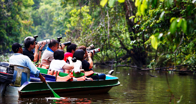 Kinabatangan River Cruise