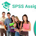 SPSS Assignment Help