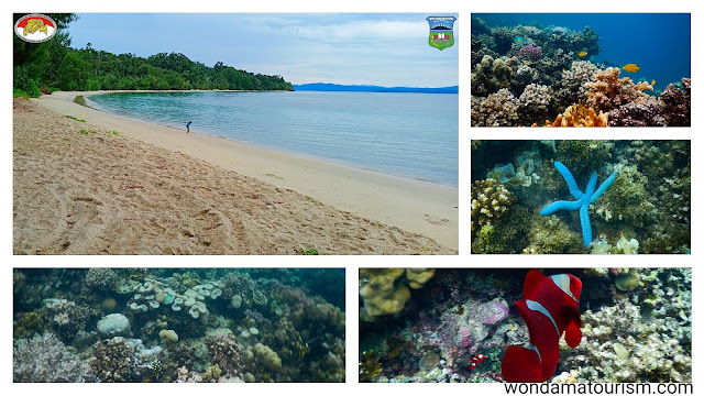 pantai dan terumbu karang di Teluk Wondama