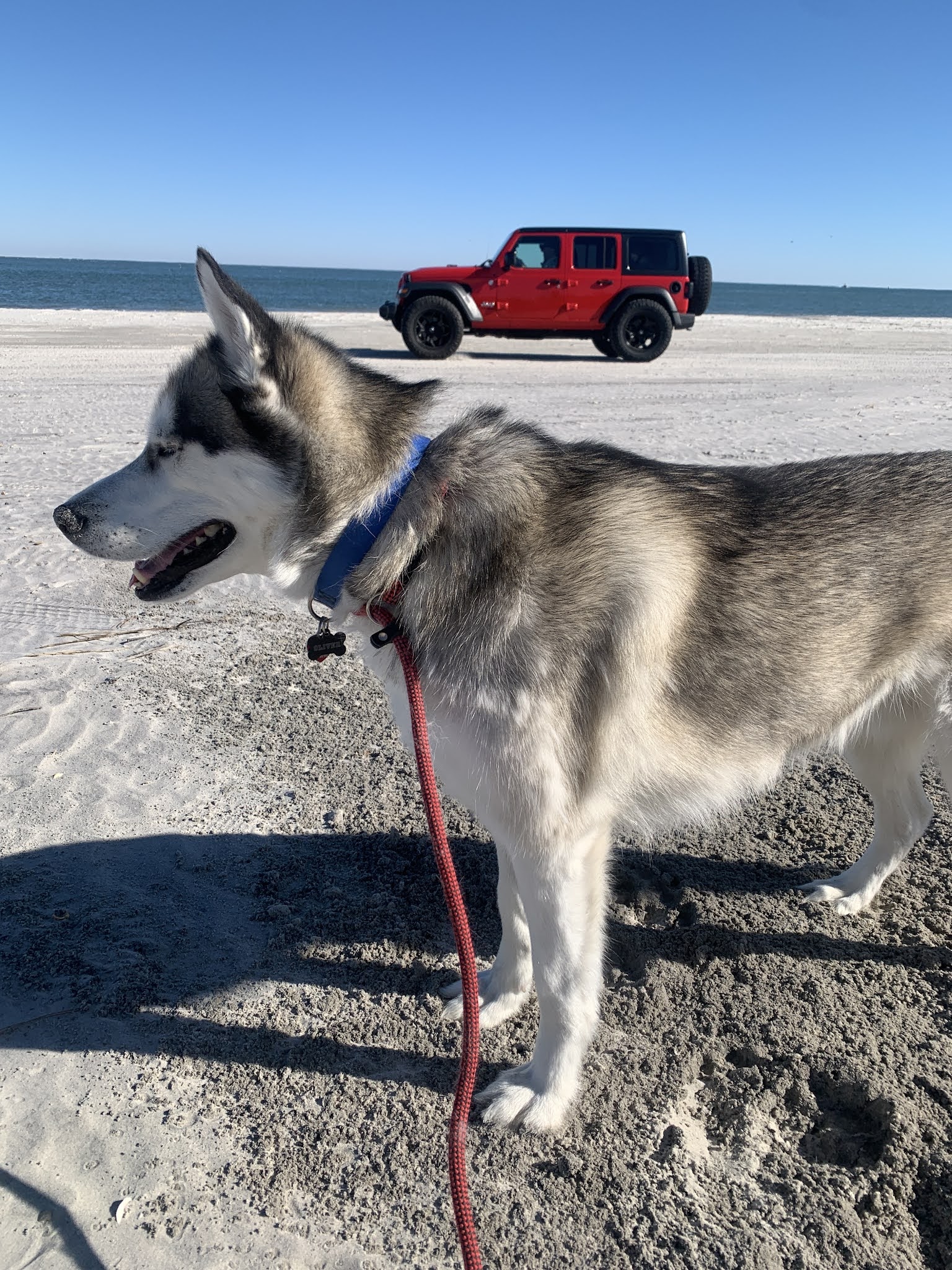 Thanksgiving at the Beach