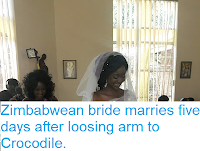 http://sciencythoughts.blogspot.com/2018/05/zimbabwean-bride-marries-five-days.html