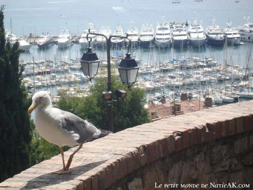 quels sont les lieux de baignades gratuites en Ile de France ?