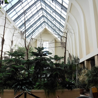 tropical plants and ferns in the floral display hall at Lauritzen Gardens