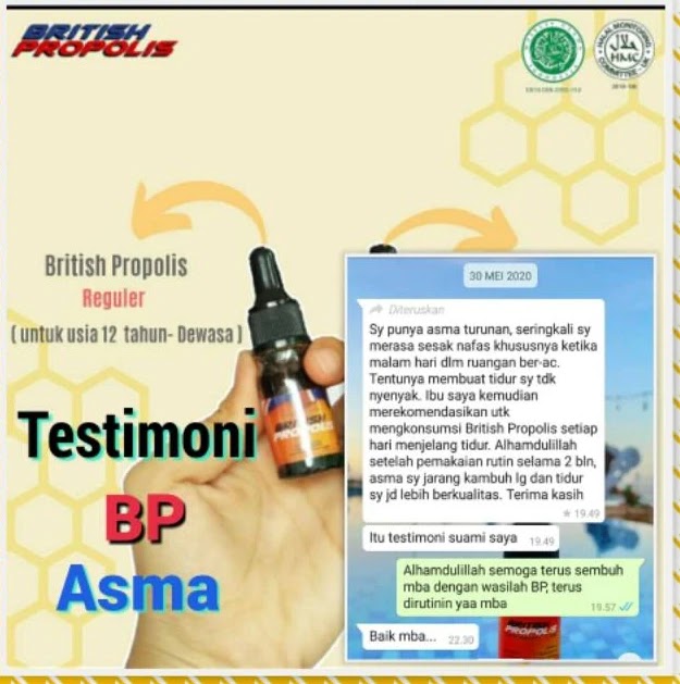 khasiat british propolis untuk asma