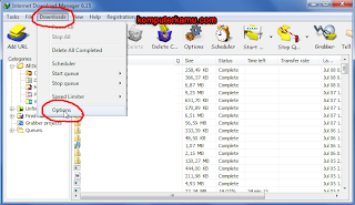 Setting Proxy IDM (Internet Download Manager)