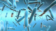 Cholera Definition - What Is Cholera Disease?